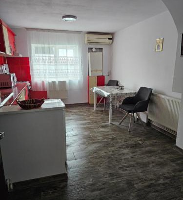 Buzau Apartment | Dudu'apartament