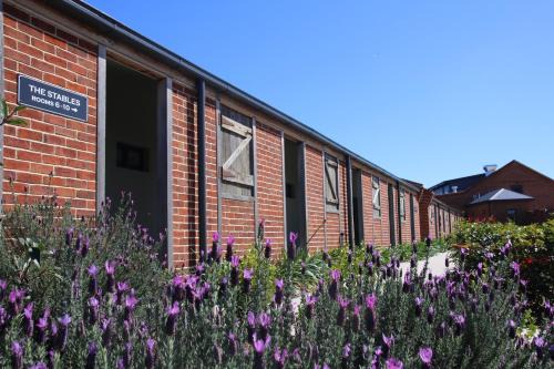 Moffatdale Resort | Dusty Hill Vineyard - Moffatdale