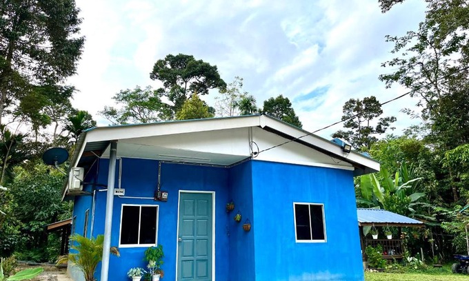 Kampar District House | DZaf Homestay & Mini Chalet