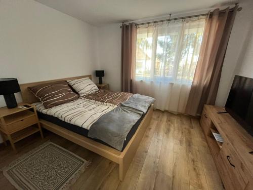 Sfantu Gheorghe Apartment | EA flat