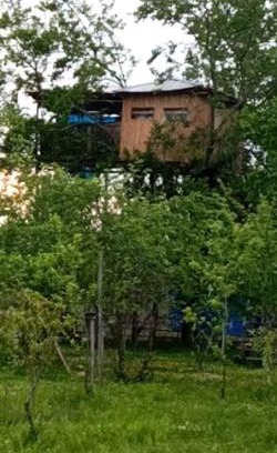 Martivili Apartment | Eagle Nest