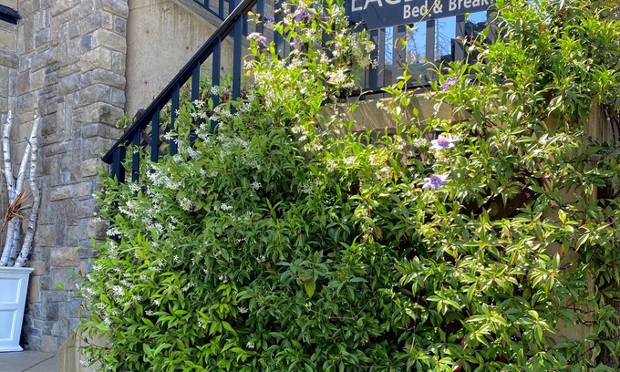 Chemainus Bed & Breakfast | Eagle Rock Bed and Breakfast