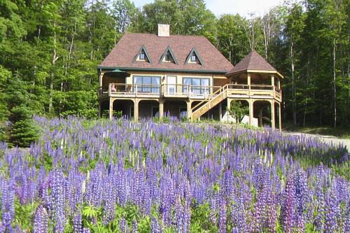 Greenville Ski Chalet | Eagle's Nest