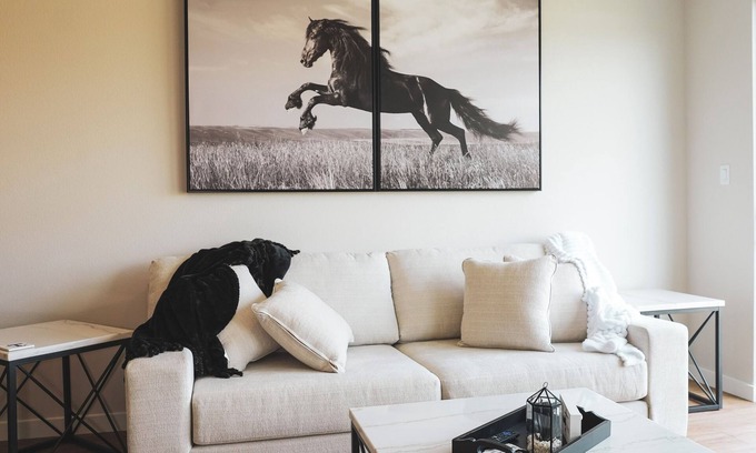 Stephenville House | “Ebony & Ivory” S’ville’s luxury townhome built 2025 with easy walk to Tarleton