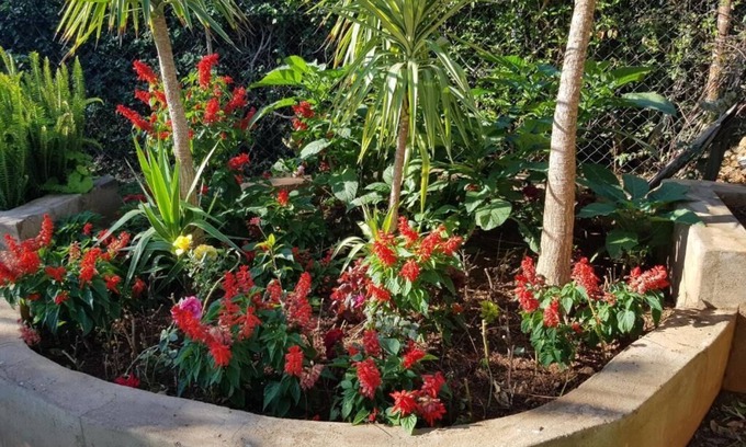Bulawayo House | Ebuhleni Guest Lodge