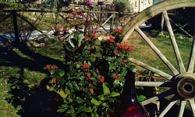 Monteluiano Other | ECO AGRITOURISM MONTESALCE - HOLISTIC SPACE