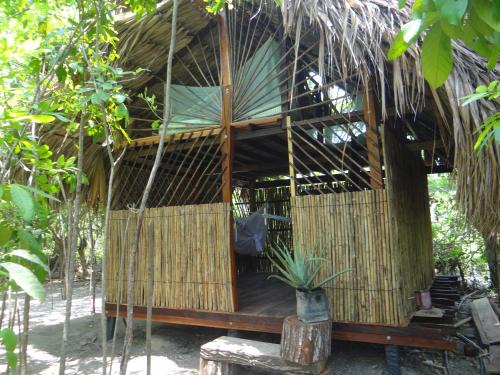Rincon Other | Eco-Camping Mango Feliz Rincón del Mar
