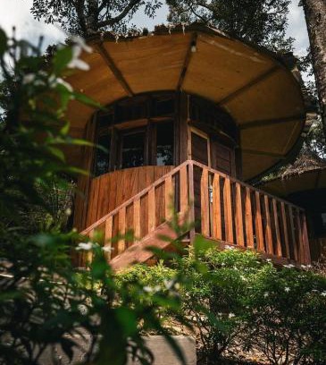 Bohorok Other | Eco Conservation Landak Luxury Tents
