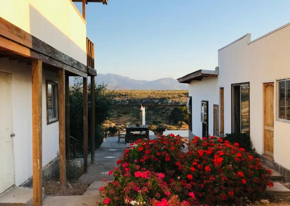 Coquimbo Bed & Breakfast | Eco Lodge Loro Tuerto