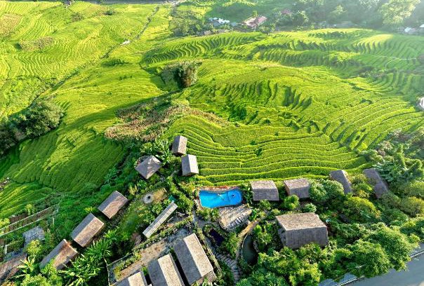 Sa Pa Resort | Eco Palms House - Sapa Retreat