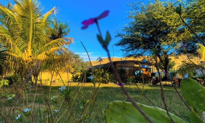 Talara Cabin | Ecolodge Cactus