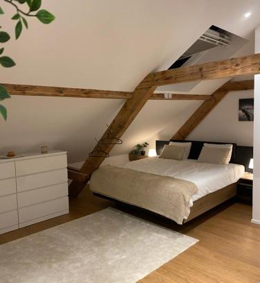 Birsfelden Apartment | Eine schöne Wohnung an der Birs