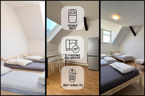 Kaßberg Apartment | Einzelbetten, Waschmaschine, ideal für Gruppen