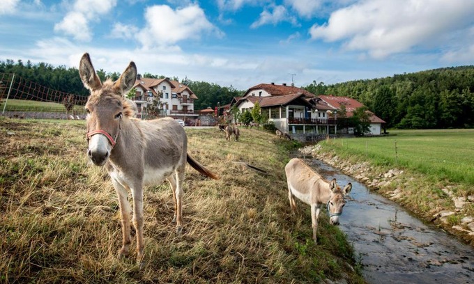 Predjama House | EkoTurizem Hudičevec