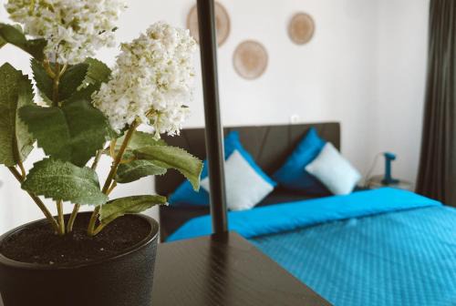 Bettenhausen House | EL Haus