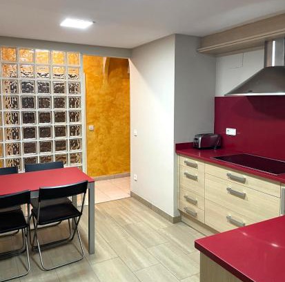 Olot Apartment | El Pis