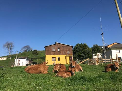 Villanueva De Pria House | El Refugio de Isol La Fontarica & Fuente