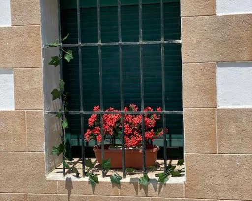 Torrejon del Rey Apartment | El Rincón del Rey