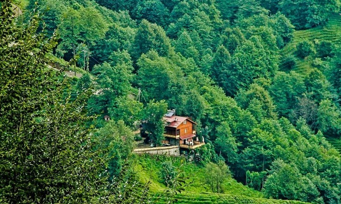 Pazar Ski Chalet | Elagza Dag Evleri