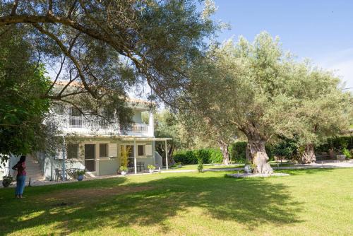 Agios Ioannis Apartment | ELAIA - Apartments & Studios