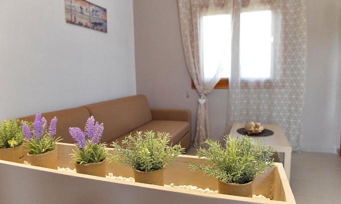 Psakoudia Apartment | Elaionas Apt.