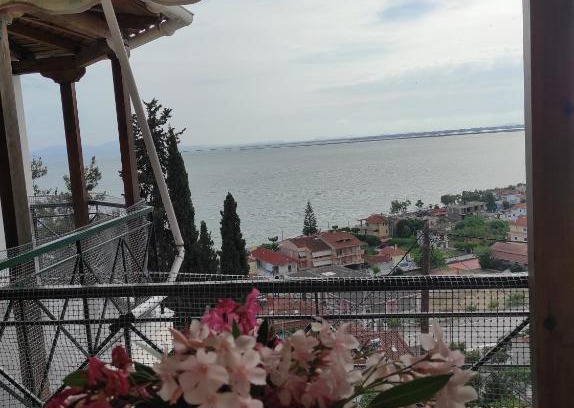 Menidion Apartment | Eleftheria