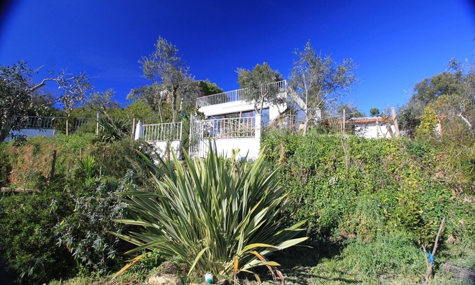 Pedrogao Grande House | Elegant country house renovated in a dream property