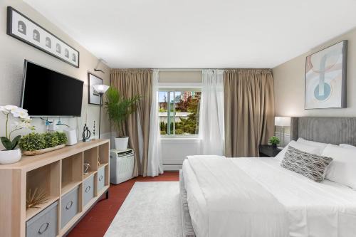Downtown Seattle Apartment | Elektra Muse Studio w/Views - Walker’s Paradise