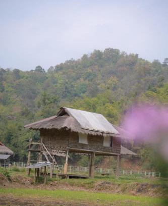 Mae Taeng Other | Elephant Garden Hug