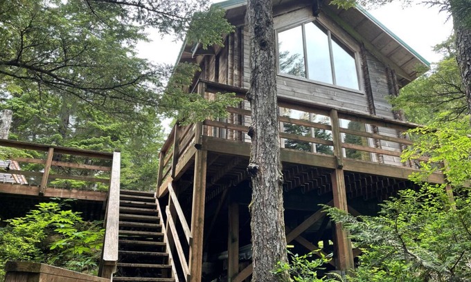 Elfin Cove Cabin | Elfin Cove's Hilltop Tree House