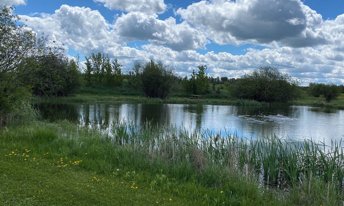 Strathcona County Cabin | Elk Island Getaway! Rustic Cabin. Where peace and nature awaits you!n