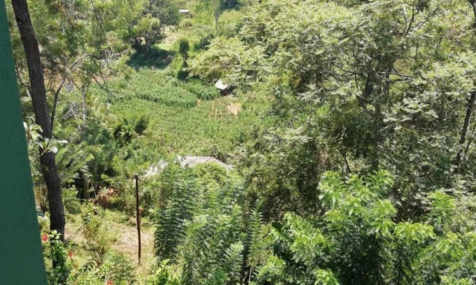 Kumbalwela House | Ella Viyanga Homestay