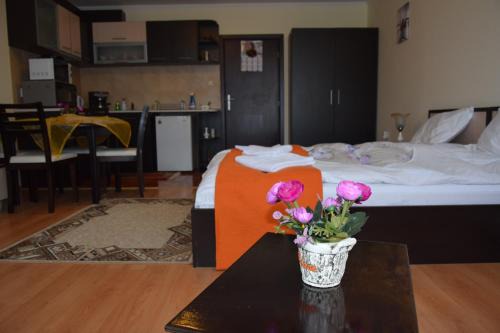 Pamporovo Apartment | Elza Apartment
