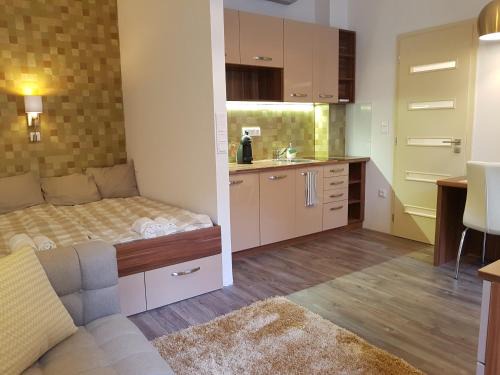 Istvanmezo Apartment | Embassy Studio Apartment Citypark