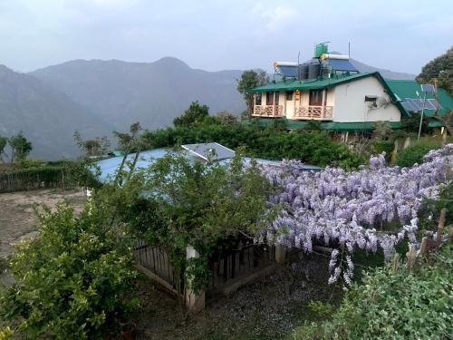 Bhimtal Bed & Breakfast | EMERALD TRAIL BHIMTAL