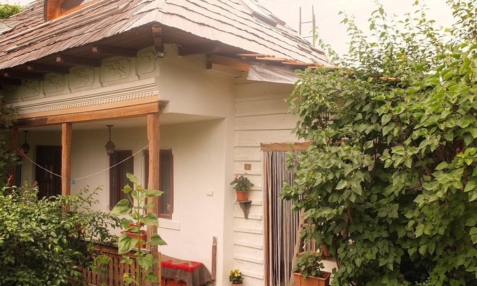 Valsanesti House | Enchanting Old Traditional House & Garden near Forest close to Curtea de Arges