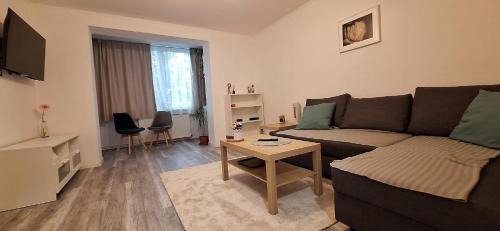Tirgu Mures Apartment | Enci House Apartment