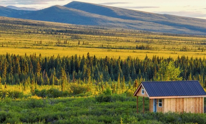Healy Cabin | End of Stampede Dry Cabin, Near Denali