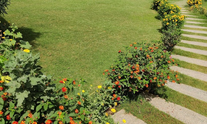 Gurugram Other | Enite Farm