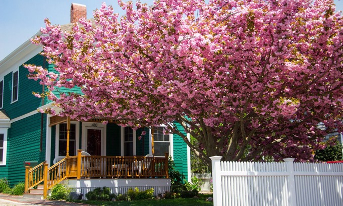 Commercial Street House | Enjoy any time of year- at East End Captains Home, Provincetown