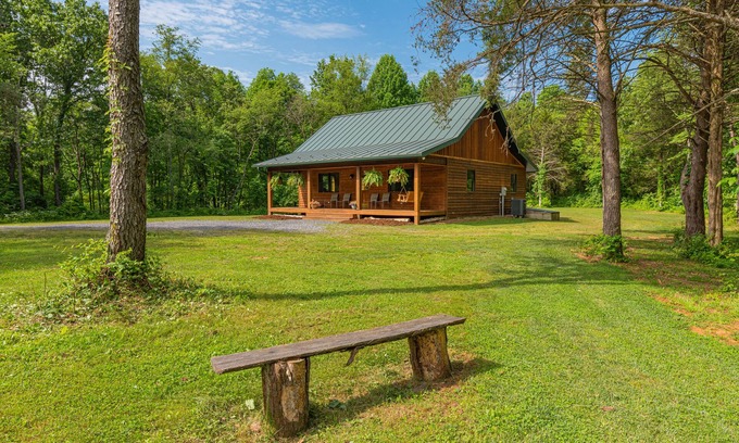Rileyville Cabin | Enjoy Secluded Starry Nights! Near Luray, HotTub, FastWiFi, Handicap, Fireplace