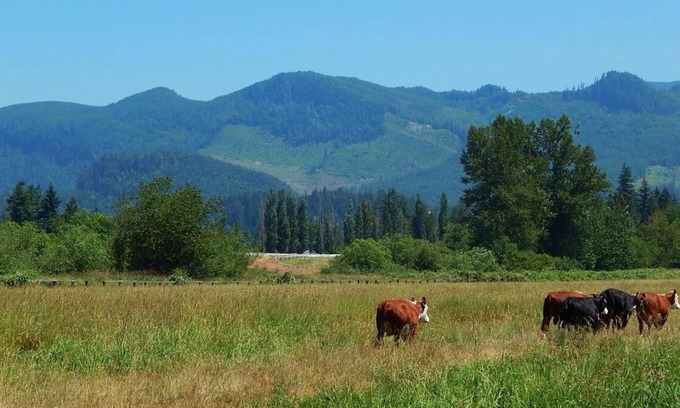 Enumclaw House | Enjoy The Great Outdoors at GuestHouse Enumclaw! Pet-friendly, Free Parking
