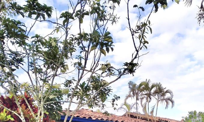 Quimbaya House | Entire 5 bedroom Country House in the Heart of the Colombian Coffee area