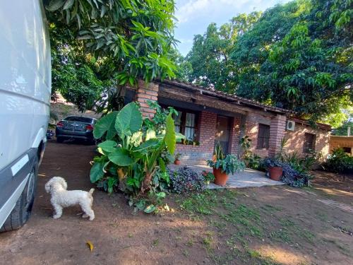 Calilegua Apartment | Entre Mangos y Tucanes