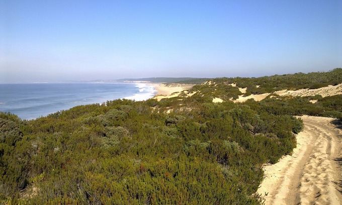 Meco House | Entre plage et pineède forest