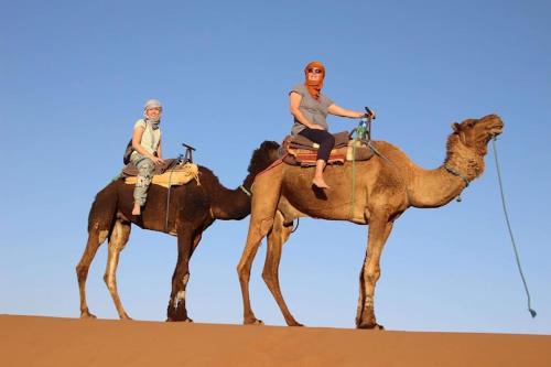 El Gouera Other | Erg Chigaga Camp Tours