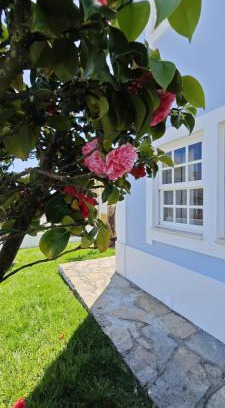 Mafra Villa | Ericeira -Oceonview Villa with Pool and Whirlpool