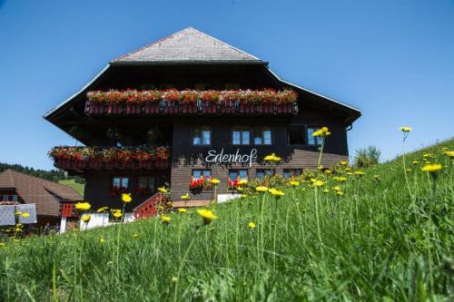 Todtnauberg Apartment | Erlenhof
