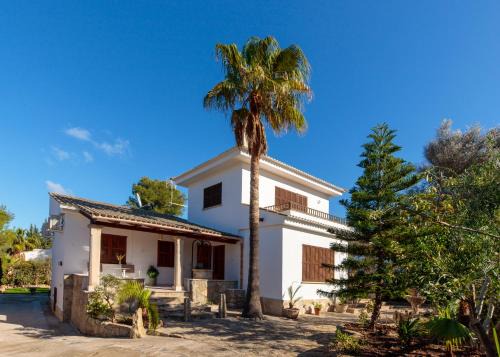 Cielo de Bonaire House | Es Fasser