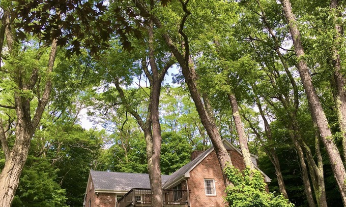 Canton House | Escape to a modern rustic retreat in the heart of nature!